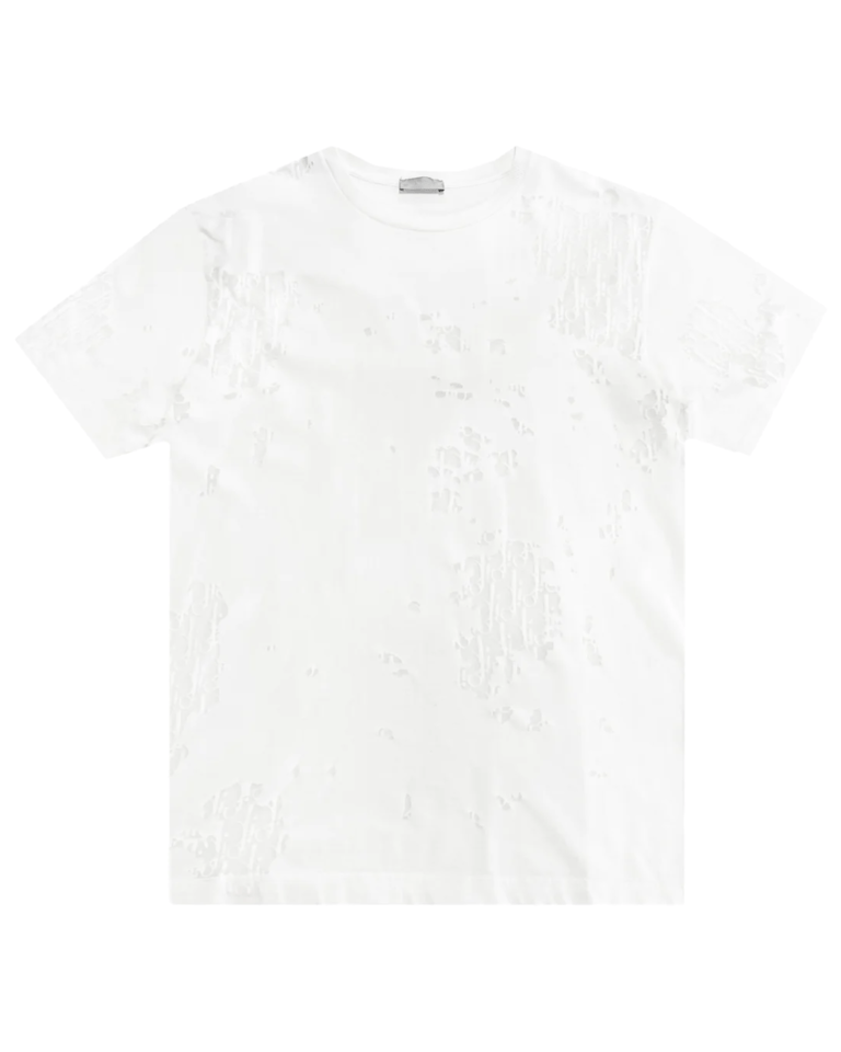 dior-distressed-oblique-tee-shirt-blanc-face